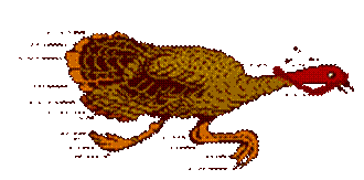 turkey running