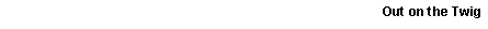Text Box:           Out on the Twig