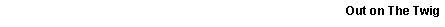 Text Box:    Out on The Twig   