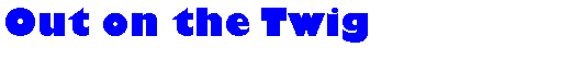 Text Box: Out on the Twig
