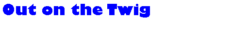 Text Box: Out on the Twig