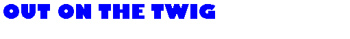 Text Box: OUT ON THE TWIG