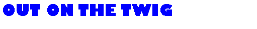 Text Box: OUT ON THE TWIG