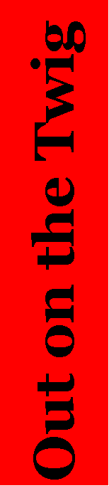 Text Box: Out on the Twig