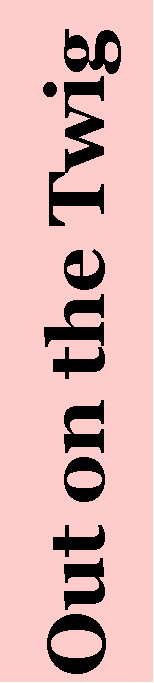 Text Box: Out on the Twig
