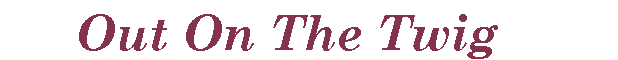 Text Box:                   Out On The Twig