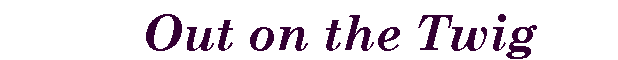 Text Box:           Out on the Twig