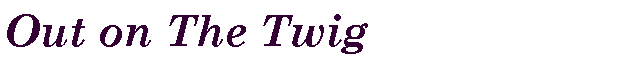 Text Box: Out on The Twig   