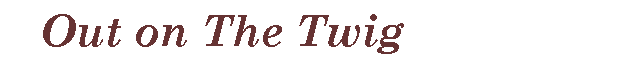 Text Box:    Out on The Twig   
