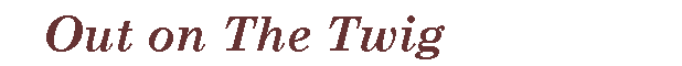 Text Box:    Out on The Twig   