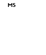 Text Box: MS	